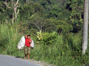 IMG_6764PS.jpg