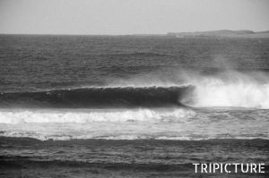 c79-IMG_3123PSBW.jpg