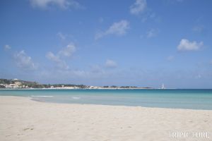 IMG_2522PS.jpg