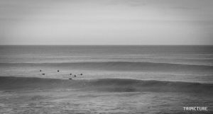 IMG_8396PSBW.jpg